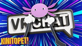 KINITOPET EXPOSES AND INSULTS EVERYONE IN VRCHAT!  - Funny Moments