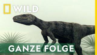 Urzeitriesen in Bewegung - Ganze Folge | Jurassic C.S.I.