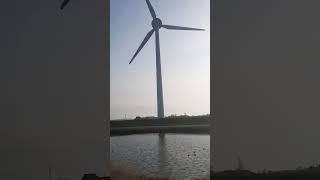 WINDMILLS ARE A FAMOUS AMSTERDAM TOURIST ATTRACTION