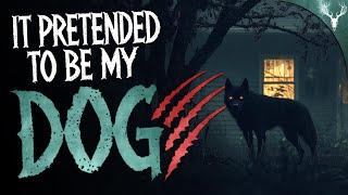 It Pretended to be Our Dog - Real Mimic Encounters and More