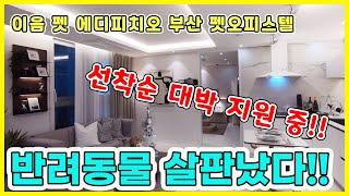 이음 펫 에디피치오 52타입 내부공개!! 부산 펫오피스텔에서 반려동물과 편하게 지내세요~ 부산서구오피스텔!!