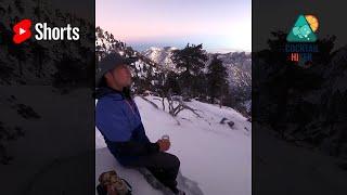 #Shorts Whiskey Sour-San Antonio Mountain | Cocktail Hiker