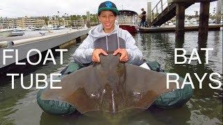 FLOAT TUBE BAT RAY FISHING | Newport Harbor
