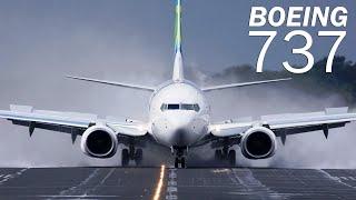 Boeing 737: el avión de pasajeros más popular