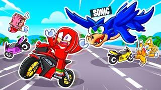 I Became A DRAGON In Motorcycle Mayhem! (Roblox)