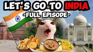 CAT MEMES: FAMILY VACATION COMPILATION TO INDIA + EXTRA SCENES