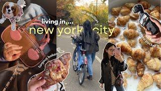 NYC diaries | unboxing DJI osmo pocket 3, things I do as a local, famous bakeries  | KR SUB