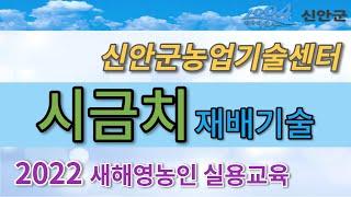 신안군농업기술센터 [시금치 재배기술] 소득작물담당 / 양재연  [2022 새해 농업인 실용교육]