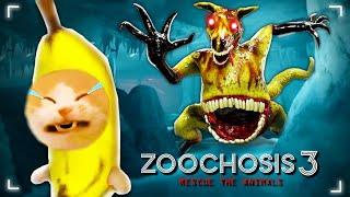 Banana Cat vs. Zoochosis Monsters: A Rescue Mission by Apple Cat!  Baby Banana Cat Compilation 