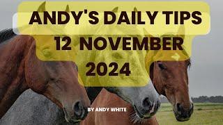 Andy's Daily Tips for Horse Racing, Tuesday 12 November