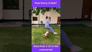 funny animals memes v28 #shorts #shortfunny