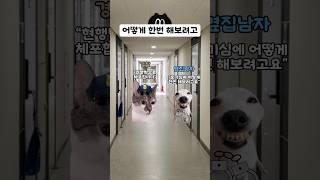 성공 못하면 처벌 불가?