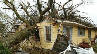 Dangerous Fastest Idiots Cutting Tree Fails Skill With Chainsaw, Tree Falling on Houses Compilation