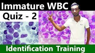 Immature WBC identification Training Quiz -  2/2