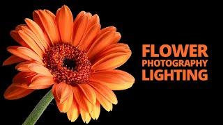 Flower photography lighting - How to take your flower photos to the next level