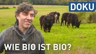 Wie bio ist Bio? | doku | hessenreporter