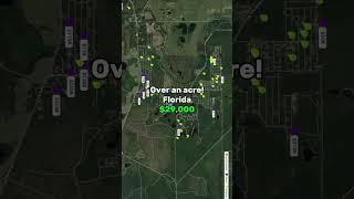 Over an Acre of Land in Umatilla Florida. Property can be used for Residential or Multi Family. #fyp