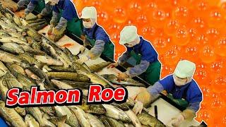 [Eng Sub] Salmon roe | บุกโรงงานไข่ปลาแซลมอนญี่ปุ่น!!! Kesennuma Part1 | SugoiJapan | Ep333