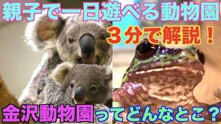 【行くとやばい動物園】希少動物が豊富！激安で行ける金沢動物園がオススメすぎた！