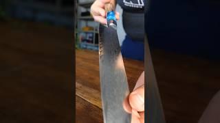 Amazon's best selling kitchen knife can replace all of your kitchen knives