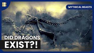 Secrets of Dragons! - Mythical Beasts - Documentary