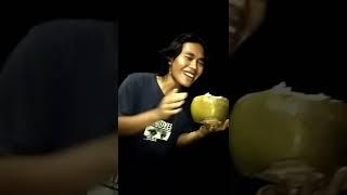 kelapa tetangga