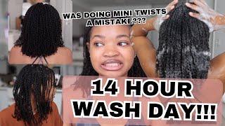 It took 14 HOURS to do my Wash Day!!!! | Was Doing Mini Twists MISTAKE????