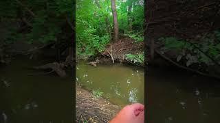 А рыба здесь есть. Мормышинг #fishing #рыбалка #мормышинг