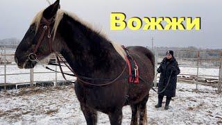 Принципы работы на вожжах