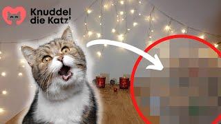 Diese Knuddel die Katz' Artikel gibt es NUR bis Weihnachten 