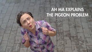 Ah Ma Explains: The Pigeon Problem