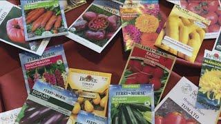 You Can Grow It: successful gardens start with good seeds