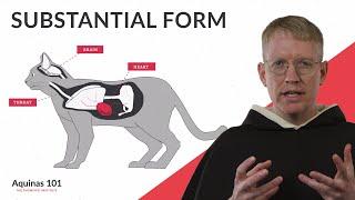 Substantial Form (Aquinas 101)