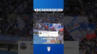 달팽이관 힐링되는 아기 응원 #수원삼성 #k리그