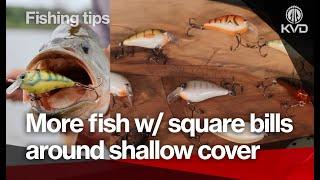 How to pick the right fishing setup for shallow cover - color, hooks, reel, and line - with KVD