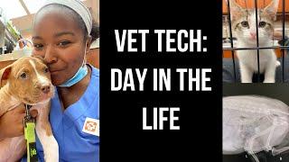 DAY IN THE LIFE OF A VET TECH| Vet Tech Vlog | Banfield SJP | Dogtor Lindsey