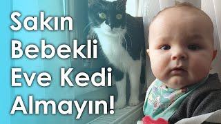 Bebekli Eve Kedi Alınır mı? | Deneyimlerim #12