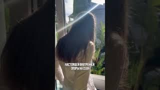 Медитацию смотрите на моем канале Заметки доктора Голевой #медитация #сон #какуснуть #йоганидра