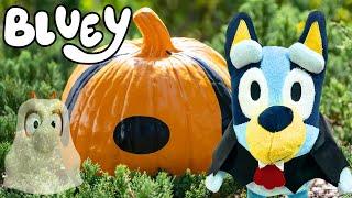  Bluey's Race to STOP Bingo! Bluey Halloween Pumpkin Hunt in Disney World 