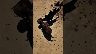Stego Vs Triceratops | The Isle Evrima