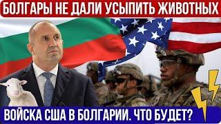 В Болгарии американские военные. Из-за пророссийского кандидата Румыния аннулировали выборы Новости