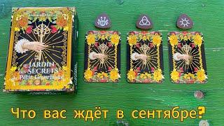 ЧТО ВАС ЖДЁТ В СЕНТЯБРЕ?  гадание на Ленорман Lenormand Reading