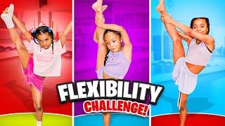 Flexibility Challlenge!!!! What happens NEXT is SHOCKING!