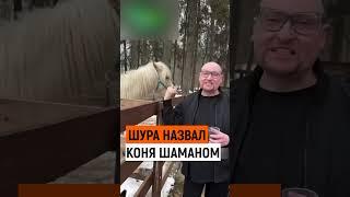 Шура назвал коня Шаманом || #шура #шаман #shorts