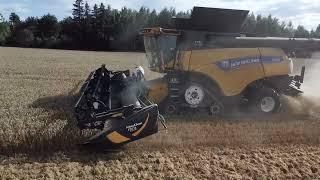 Cover Crop Sowing Demo
