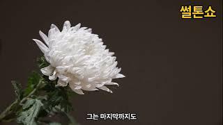 가족을 위해 버티다 결국 50살에 스스로 떠난 친구 이야기..