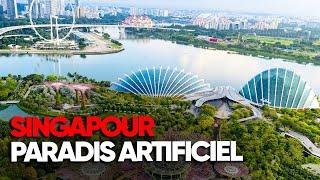 Singapour, voyage dans un paradis artificiel : entre luxe et inégalités - Enquête AMP