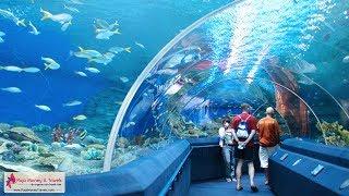Aquarium Pattaya Underwater World Thailand Tour  - Mariners Forex
