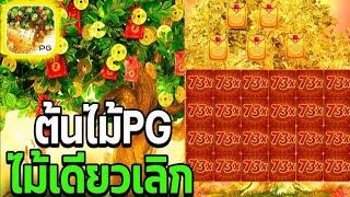 Dafabet : Prosperity Fortune Tree  ไม้เดียวเลิก