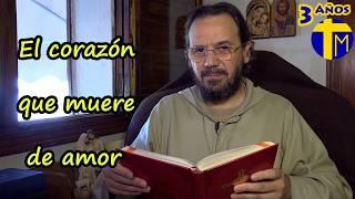 Evangelio de hoy 12 septiembre 2024. P. David de Jesús. El corazón que muere de amor (Lc 6,27-38)